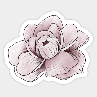 Dusty Rose Peony Sticker